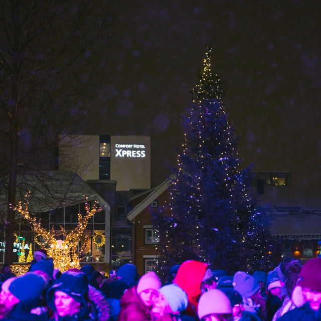 Christmas is Taking Over Tromsø