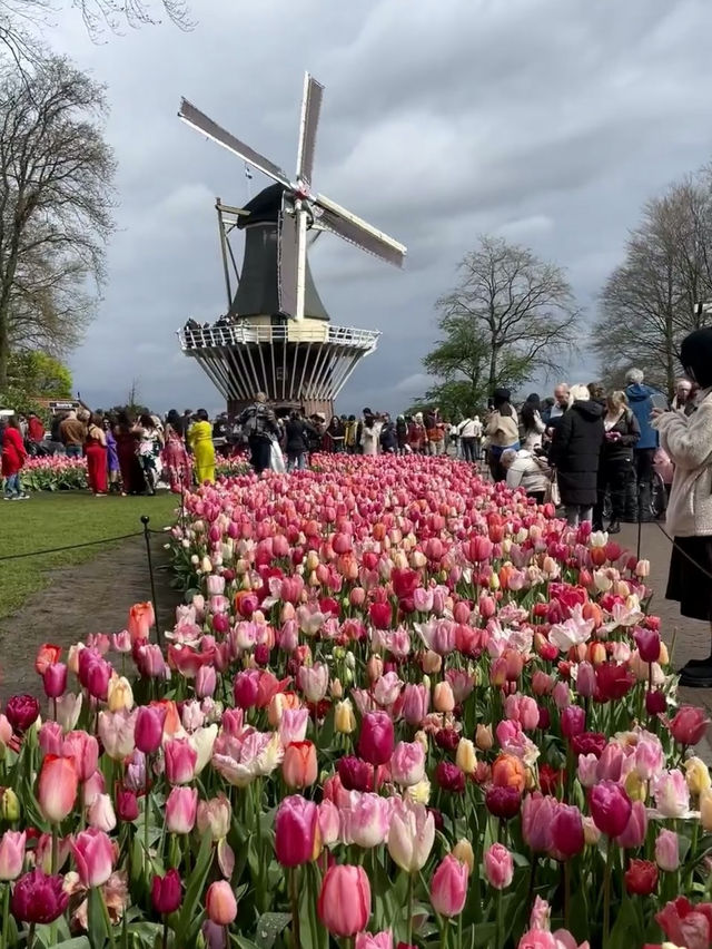 Keukenhof: A Blooming Wonderland in the Heart of the Netherlands