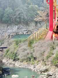 Spring Awakens: A Scenic Journey on the Sagano Arashiyama Train