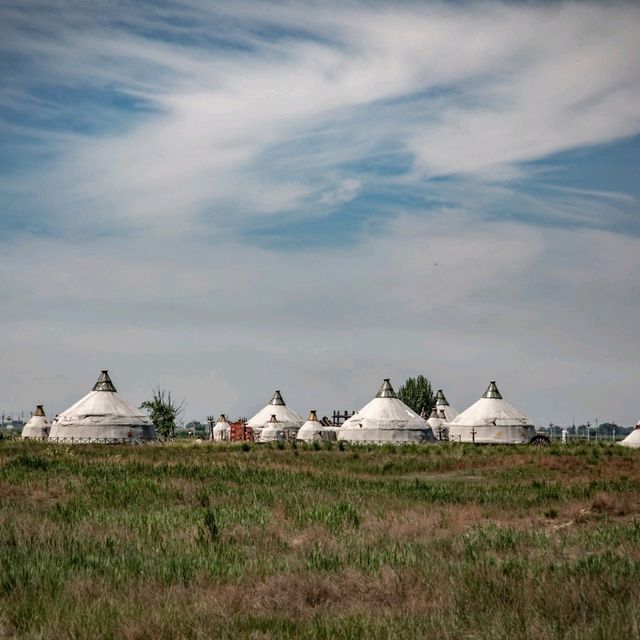 A Peaceful Grassland