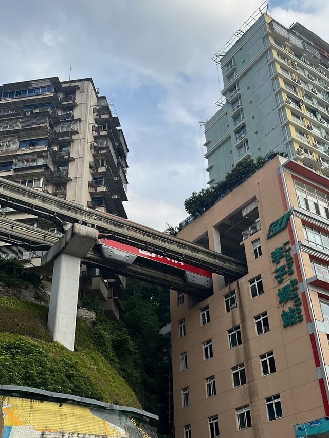 真的不去重慶看看山城夏天嗎避雷攻略