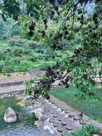 免門票的400年古村——石舍村。