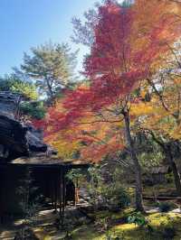 日本·奈良吉城園