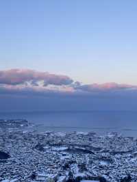 北海道冬季旅行：雪與海的浪漫交響曲