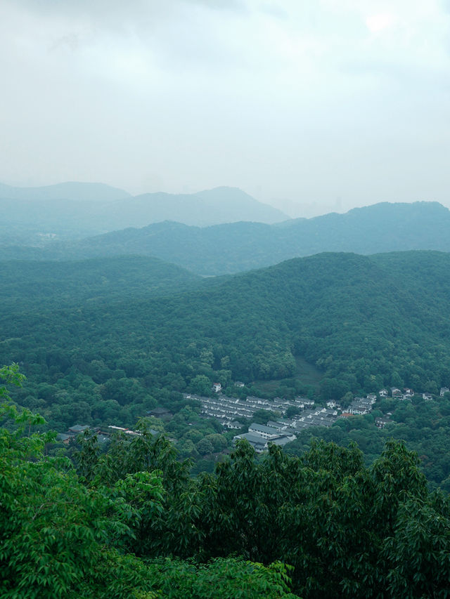 靈隱寺邂逅小松鼠