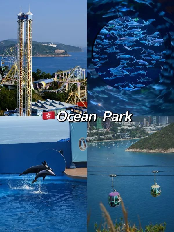 Discover the Thrills of Hong Kong's Ocean Park