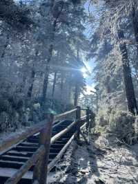 【雪域峨眉】冬季峨眉山，探秘冰雪世界的佛教聖地