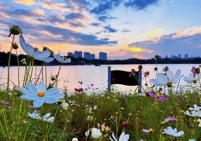 城市裏的濕地調節器，白雲湖公園