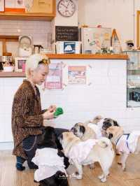 คาเฟ่น้องหมาปั๊กย่านจุฬา 🌱 The wrinkles Pug House