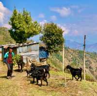 Nagarkot's Enchanting Himalayan Symphony