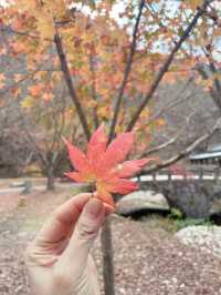 內藏山：韓國八大美景行山賞楓很減壓