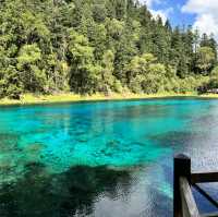 Must-Visit Wonderland: Jiuzhaigou Valley!