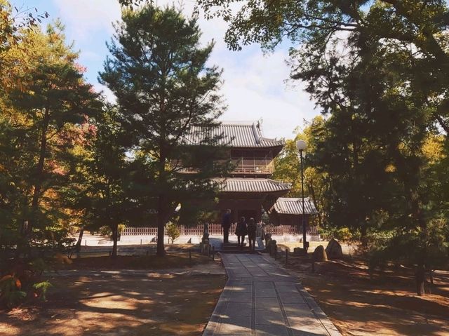 隱藏在繁華城市的寺廟建築群