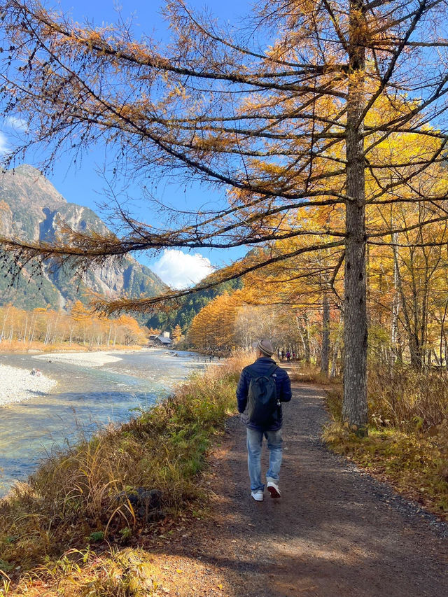 Autumn in Kamikochi ใช้คำว่าสวยได้เปลืองมาก🍁🍂