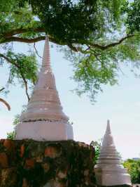 ทำบุญที่วัดพระปฐมเจดีย์ จ.นครปฐม 🙏