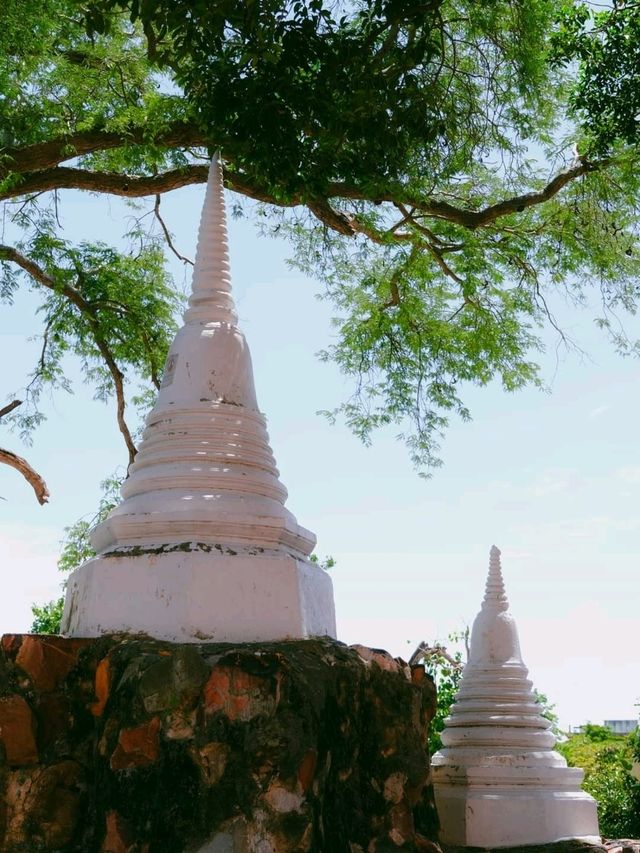 ทำบุญที่วัดพระปฐมเจดีย์ จ.นครปฐม 🙏