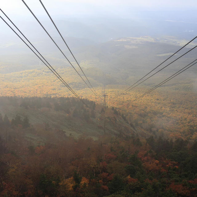 八甲田山 