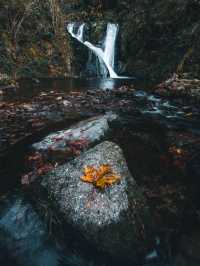 Into the Woods: A Hike Through Germany’s Black Forest