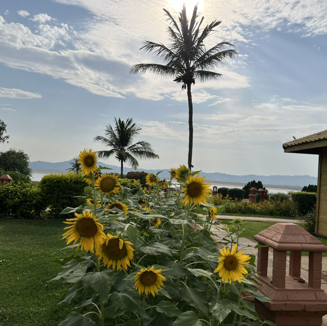 A Peaceful Escape Amid the Rain: Bagan Thiripyitsaya Sanctuary Resort