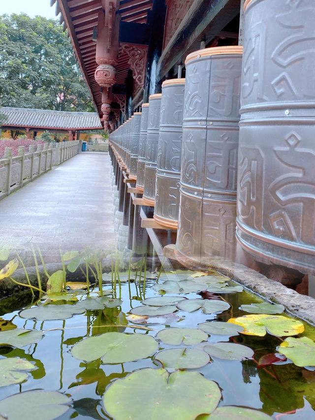 成都邊上的禪意：龍興寺，穿越千年的靜謐之旅！