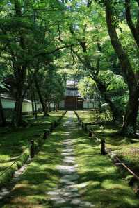 西芳寺（苔寺）｜京都的夏 美哭了