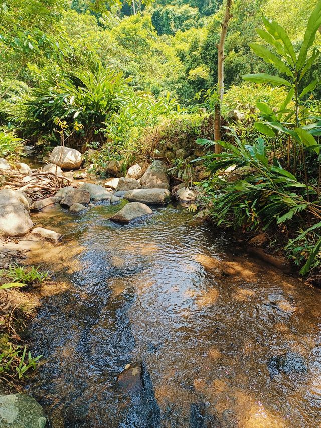 陽台山徑步,一定不能錯過深圳登協公益活動的陽台山站點。