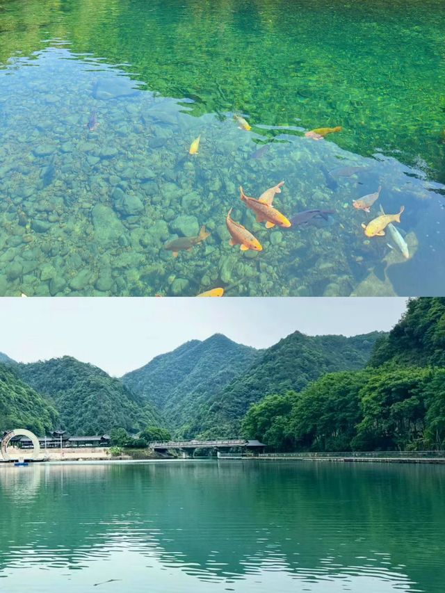 被名字耽誤的小眾天然美景 | 武義牛頭山。