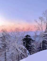 【中國雪谷任我行】東北•哈爾濱雪谷.霧凇。