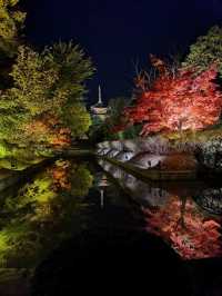 Experience the Enchanting Night Maple at Toji Temple