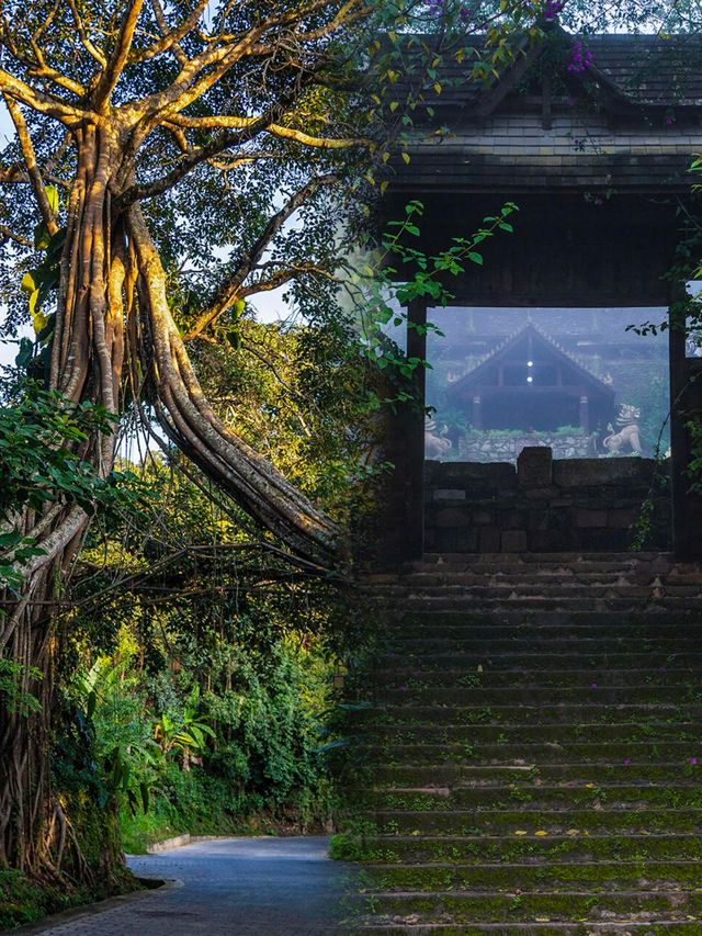 一個適合放慢腳步感受的避世之地·景邁山||