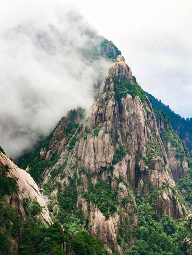 黃山2日遊看這篇就夠了不踩雷