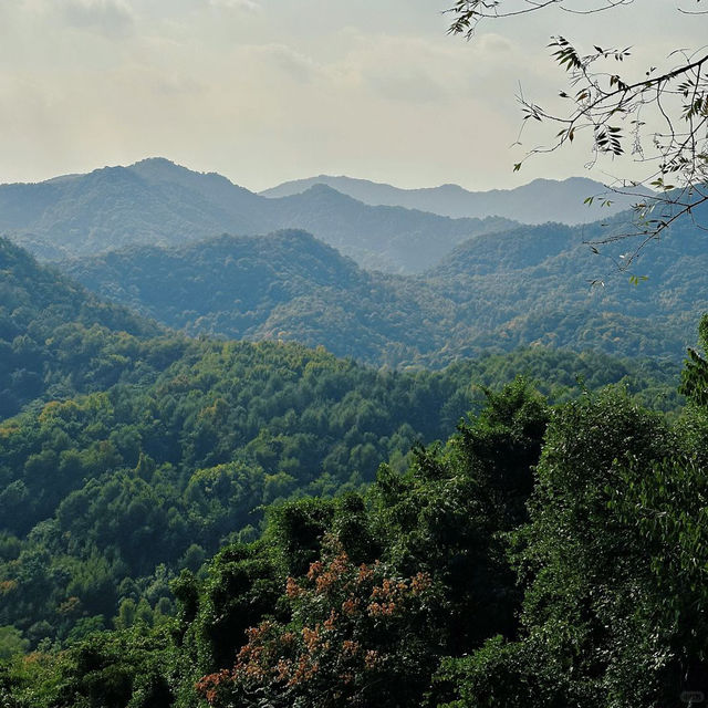 玉皇山：靈秀天成的江南勝景