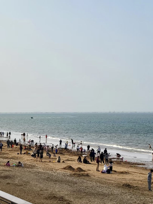 海南萬綠園：海島綠洲的靜謐