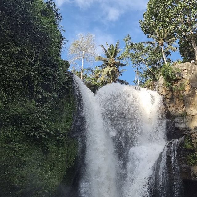 amazing waterfall in Bali 