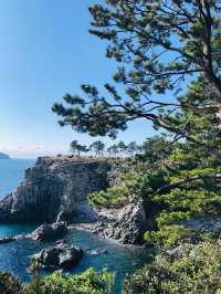 🇰🇷韓國濟洲風景🌳🪨將軍石