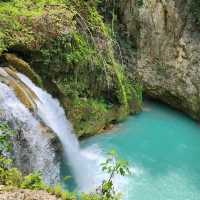 The Kawasan Falls Asrenaline Rush Adventure