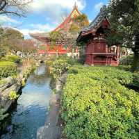 Sensoji (Asakusa Kannon Temple)