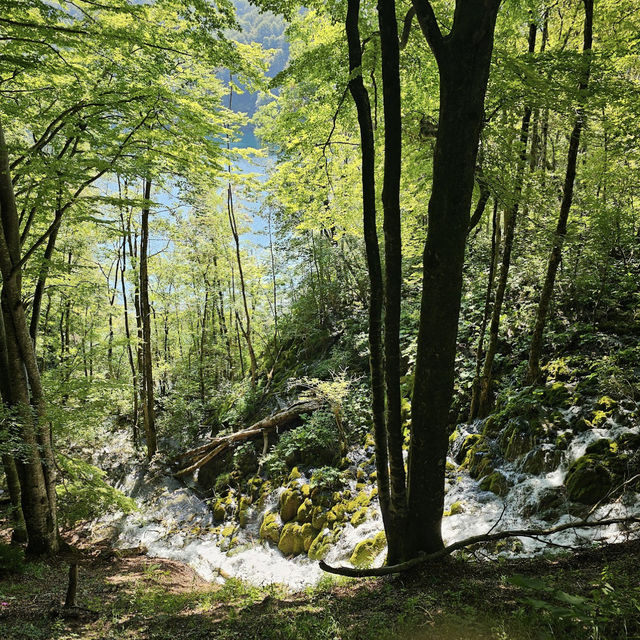 Plitvice Lakes: Croatia’s Cascade of Colors