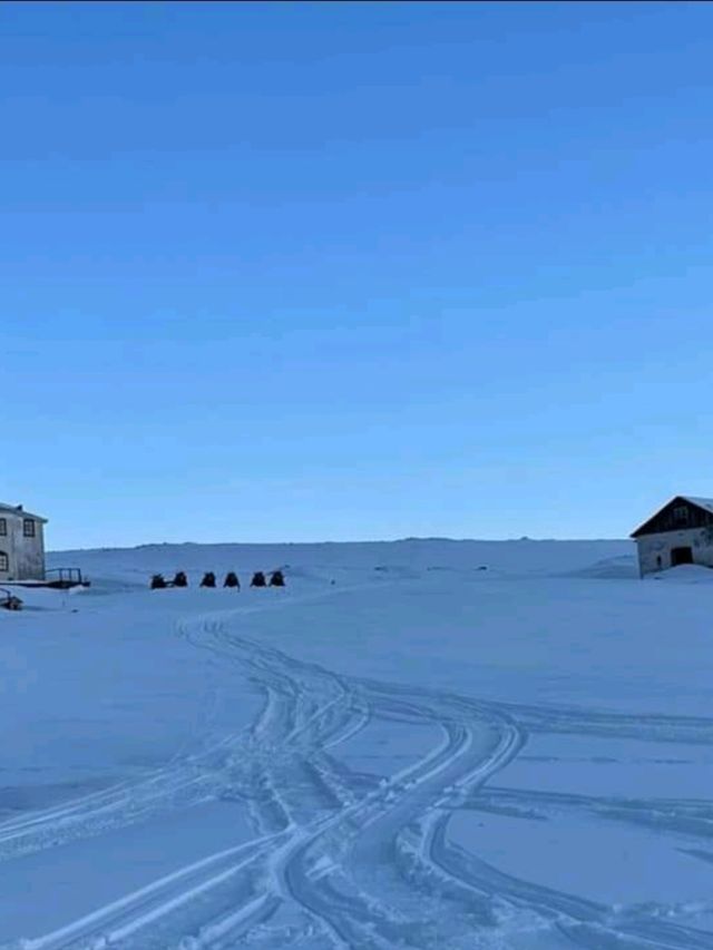 จุดรอชมแสงเหนือสุดฮิต เกาะ Svalbard 