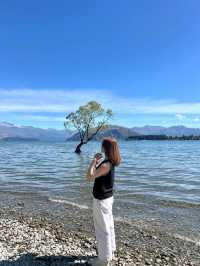 Wanaka 🌳 เมืองตากอากาศสุดชิลที่ต้องปักหมุด NZ