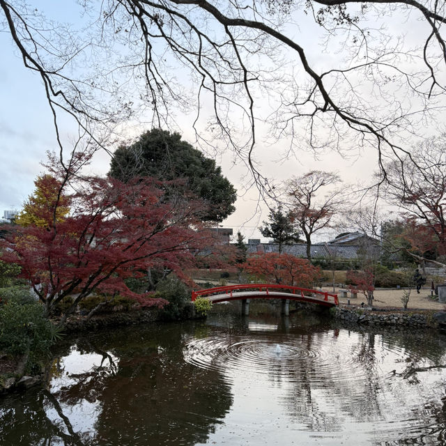 Immerse in the Kyoto Aesthetics