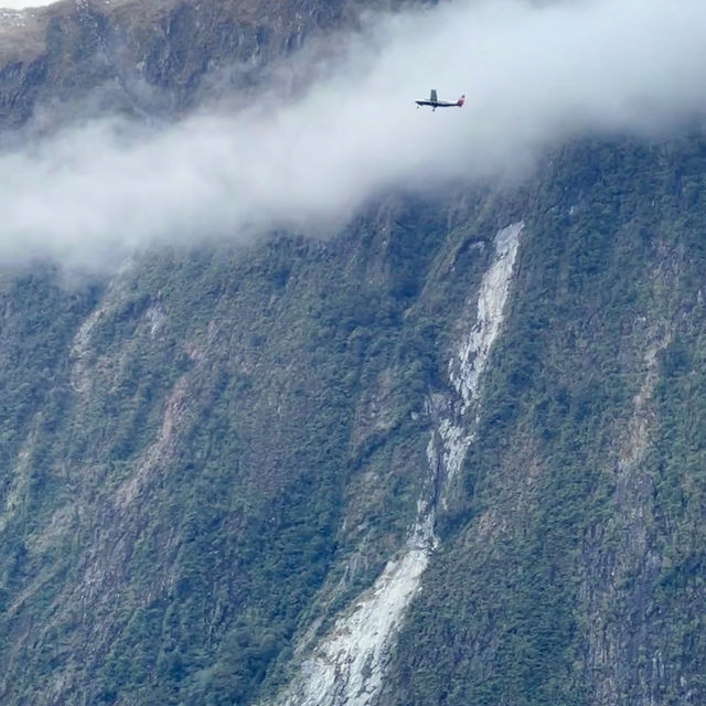 Milford Sound Unveiled: A Journey Through New Zealand’s Natural Wonderland!