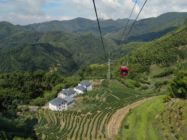 華南虎的故鄉，上杭梅花山