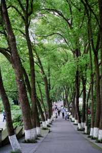 浪漫泸州｜藏在忠山公園的松弛感