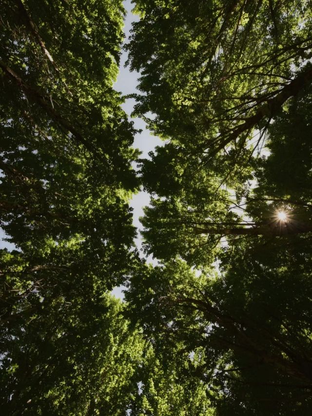 小眾露營攻略——雲南劍川縣劍湖