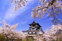 Exploring Japan's Historic Castles: Inuyama Castle