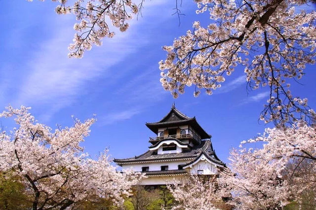 Exploring Japan's Historic Castles: Inuyama Castle