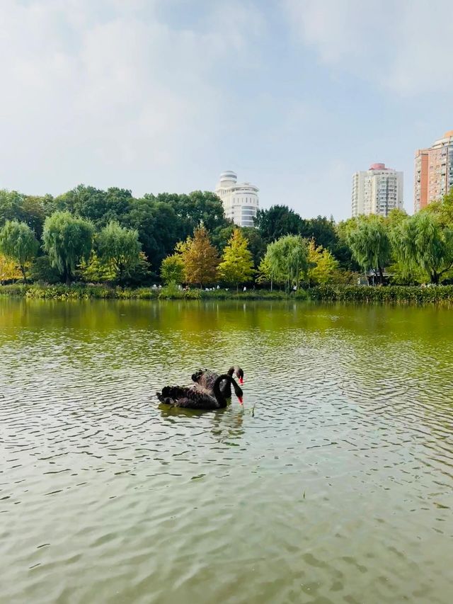 湘潭和平公園‖與大自然親密接觸