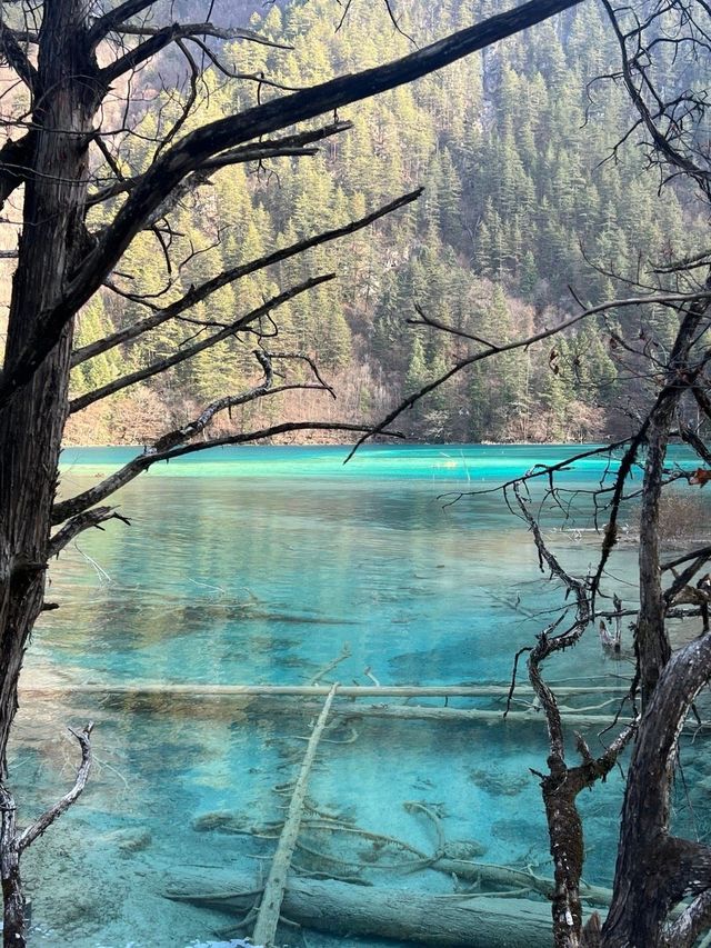 跨年要去成都-九寨溝旅遊 美景震撼人心