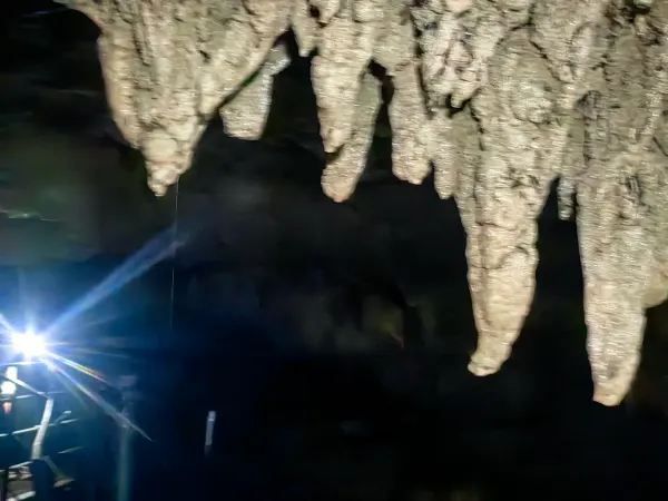 Discover the Magic of Spellbound Glowworm Caves